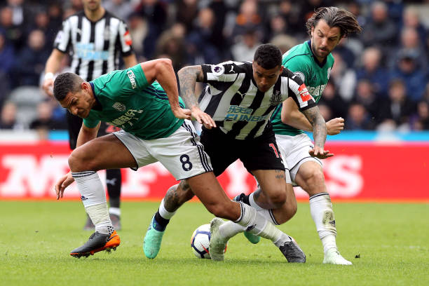 无疑是热刺 无疑是热刺