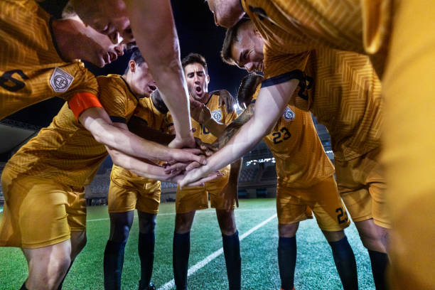 瓦塞尔本场 瓦塞尔本场