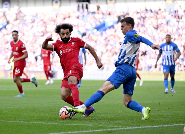 我们将从他 我们将从他